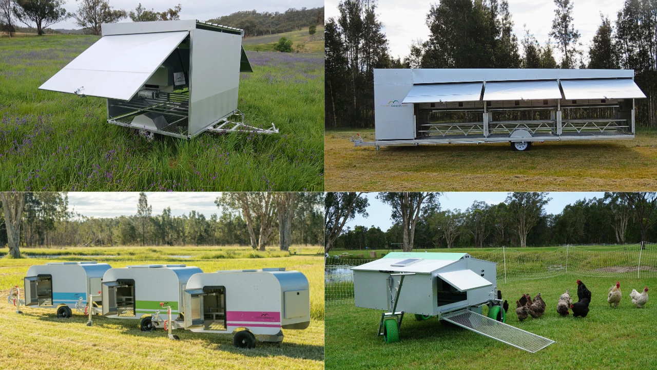 collage of Chicken Caravans including CC130, CC450, CC10s, CC30