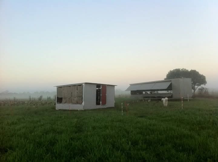 Chicken Caravan brooder shed and first chicken caravan