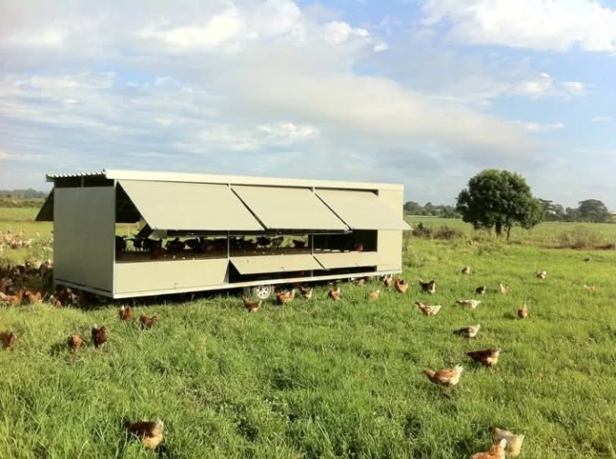 Very first Chicken Caravan