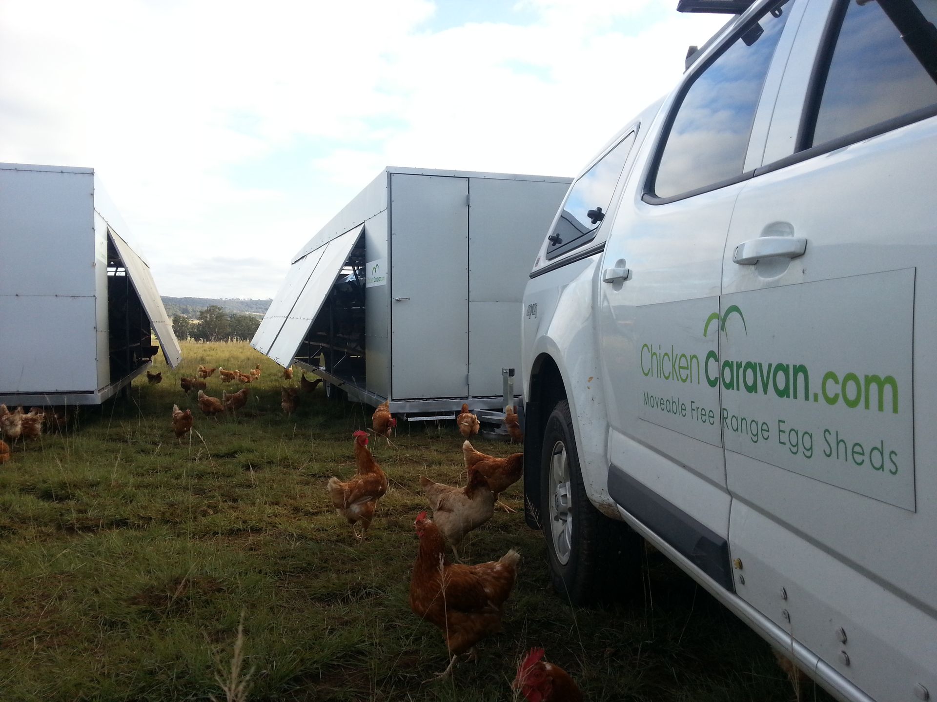 Chicken Caravan tow vehicle dropping off a Chicken Caravan
