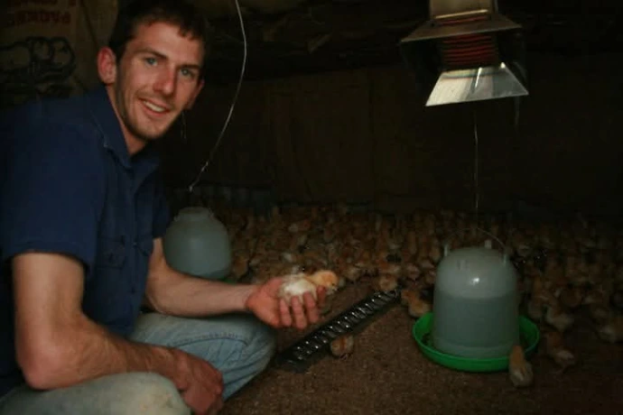 Daniel with his 2000 day old chicks Chicken Caravan