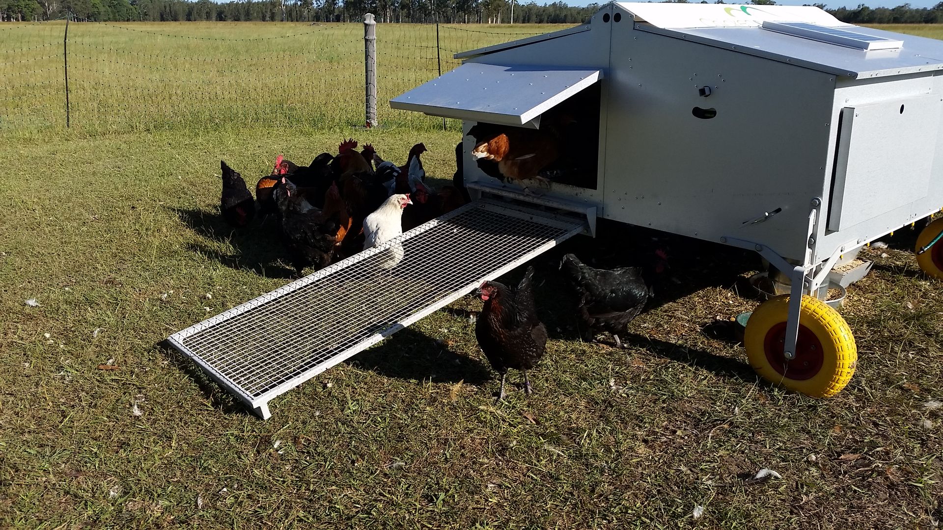 Chicken Caravan 30 in use, one of the early models