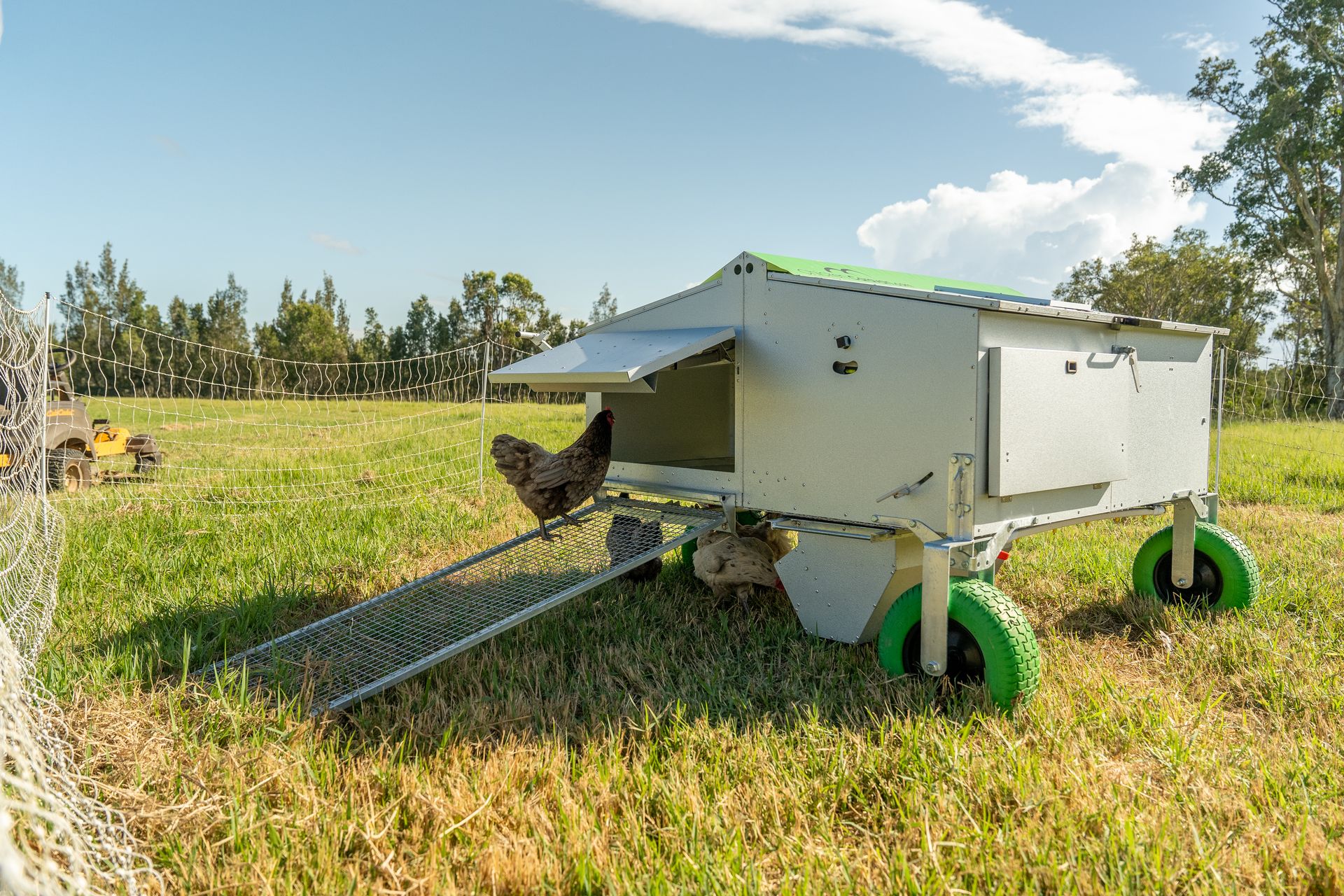 Chicken Caravan 30 generation 5