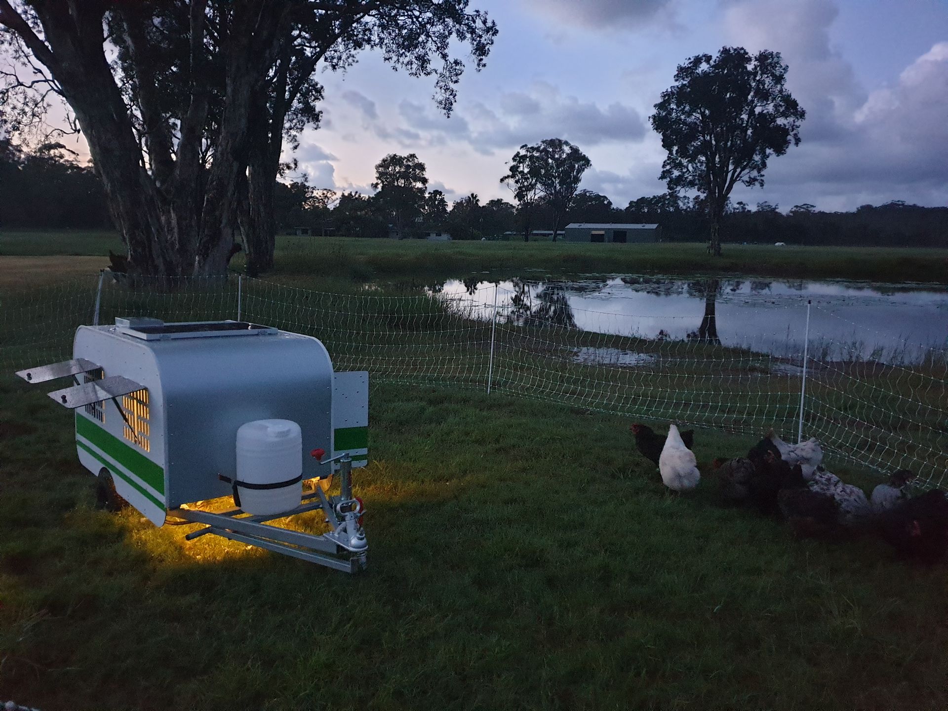 Chicken Caravan 10 on dusk near dam with hens and lighting kit on