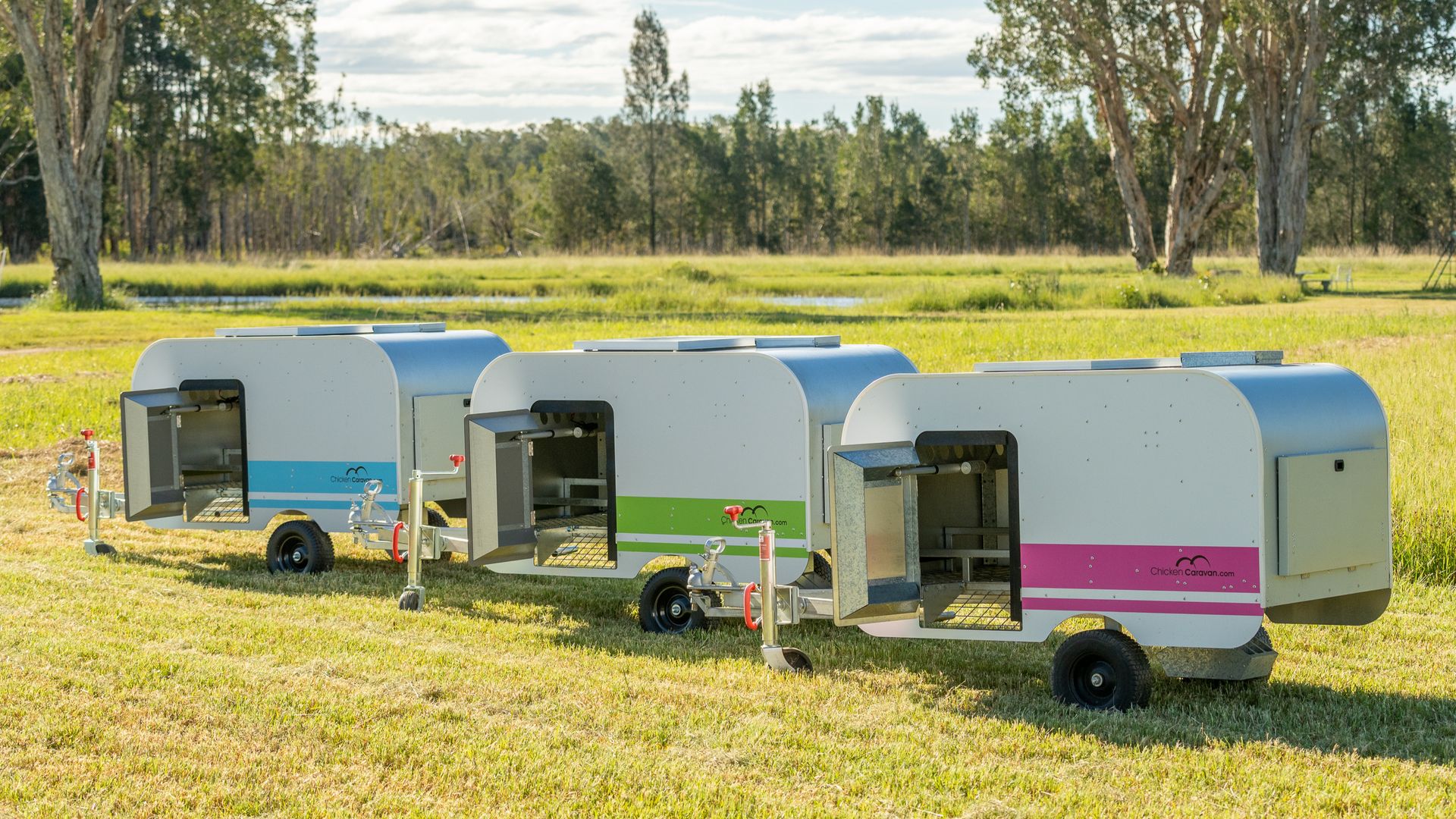 Chicken Caravan 10 in a row, three colours - blue, green and pink