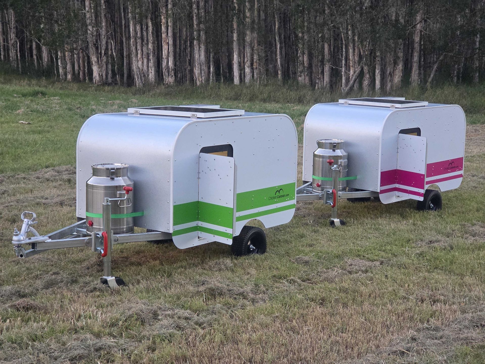 Chicken Caravan 10s nest to each other in pink and green