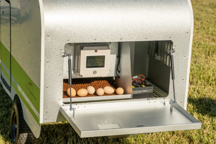 The egg collection area, showing fresh clean eggs to collect