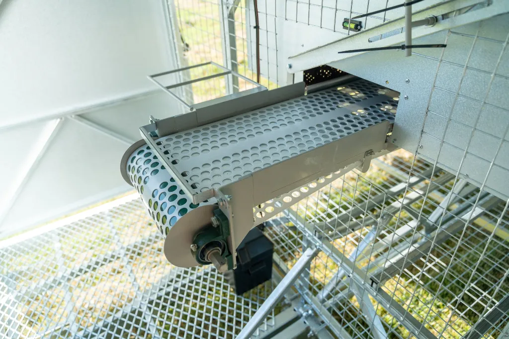 Chicken-caravan-600-conveyor-belt-