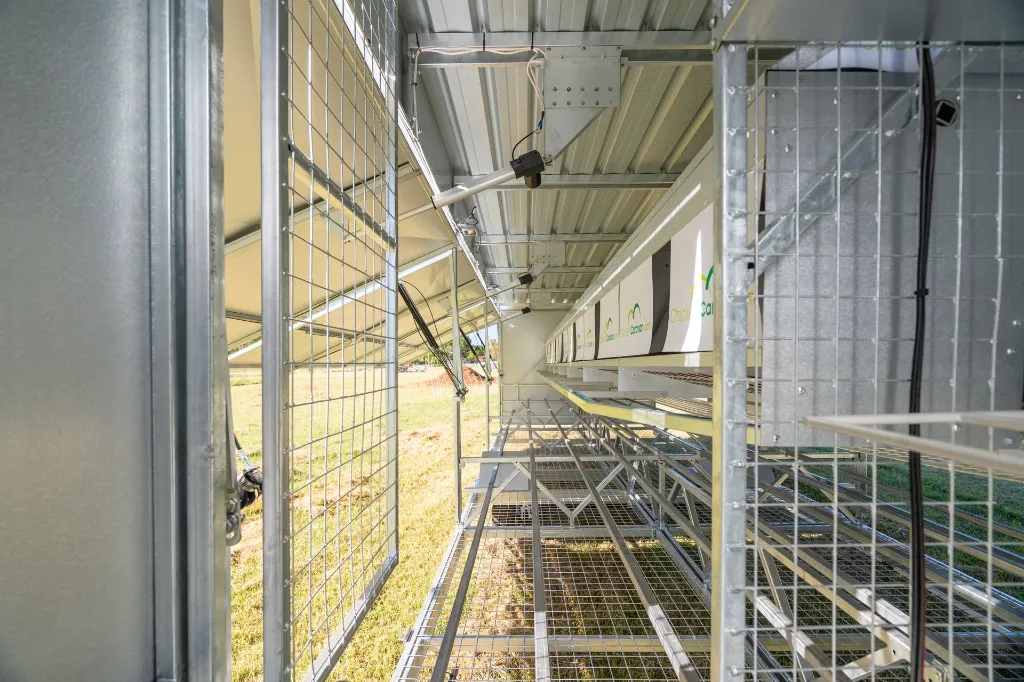 Chicken-caravan-450-man-door-bird-section