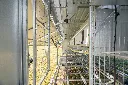 Chicken-caravan-450-man-door-bird-section