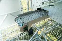 Chicken-caravan-450-conveyor-belt-collection-area
