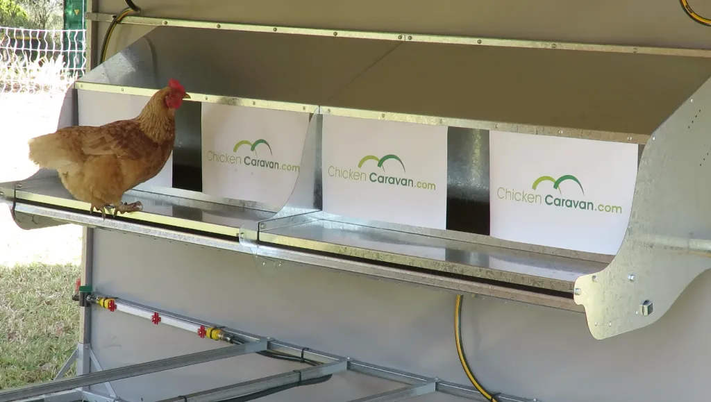 Wall_mount-Nesting-box-installed-chicken