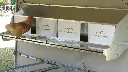 Wall_mount-Nesting-box-installed-chicken