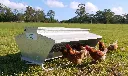 Skid-Feeder-150-chickens-feeding