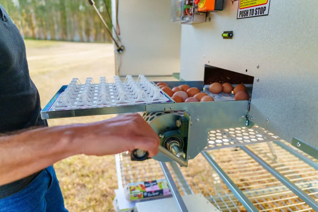 Chicken-Caravan-130-winding-conveyor-belt