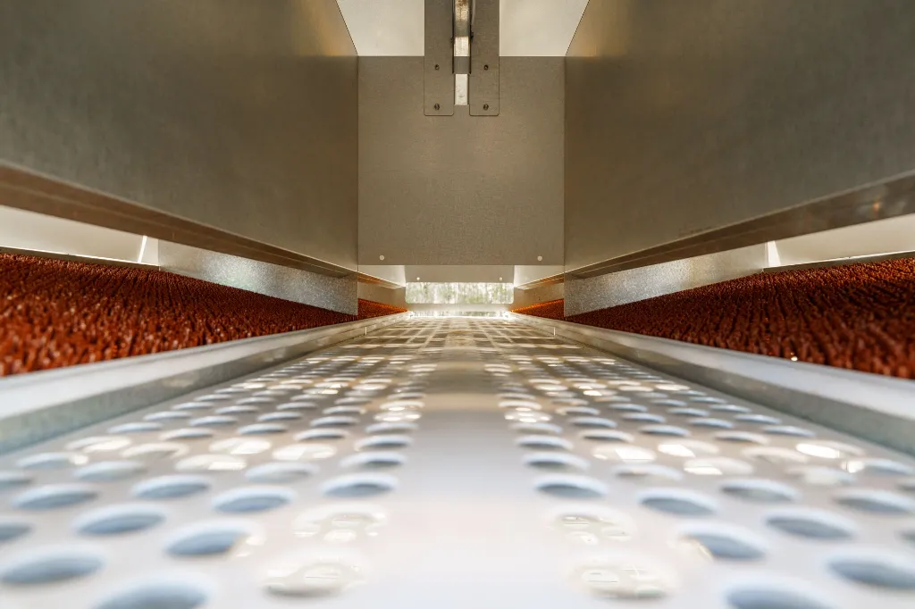 Chicken-Caravan-130-conveyor-belt-empty