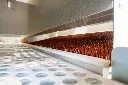 Chicken-Caravan-130-conveyor-nesting-box