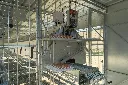 Chicken- Caravan- 600-egg-collection-area
