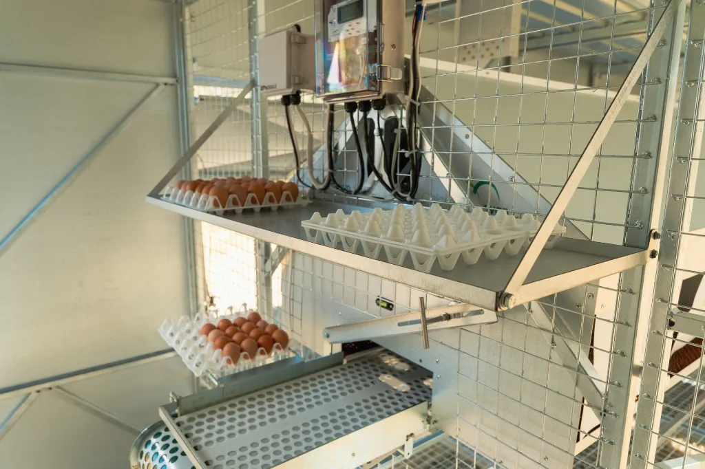 Chicken- Caravan- 600-egg-collection-area-with-eggs-trays
