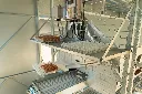 Chicken- Caravan- 600-egg-collection-area-with-eggs-trays