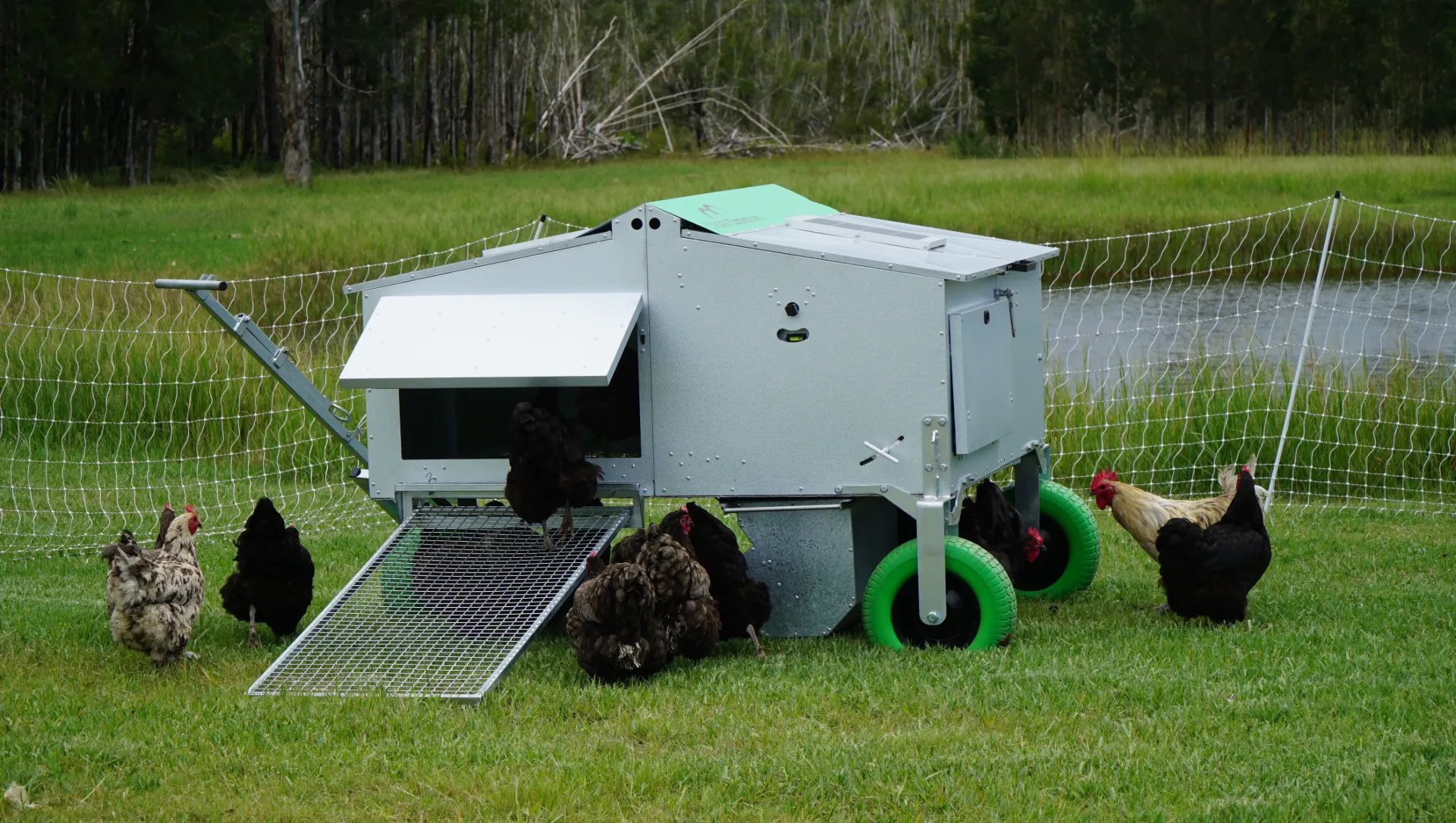 [FP CC30-5] Chicken Caravan 30 (Chicken Caravan 30 flat pack)