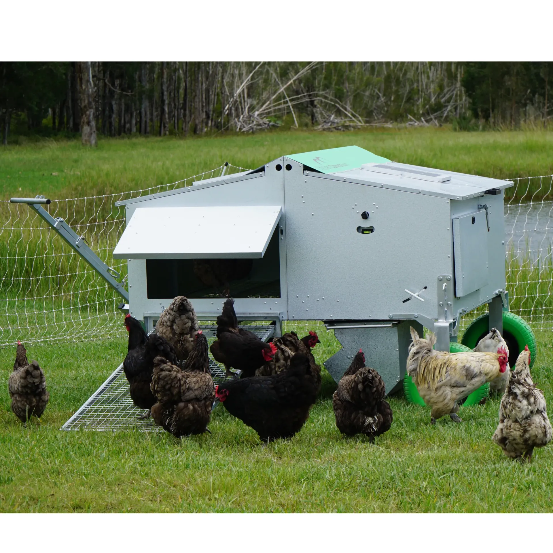 Chicken Caravan 30 — Buy Online